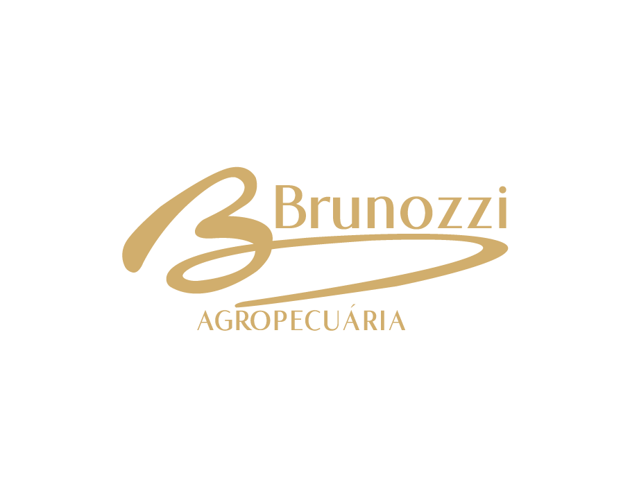 brunozzi